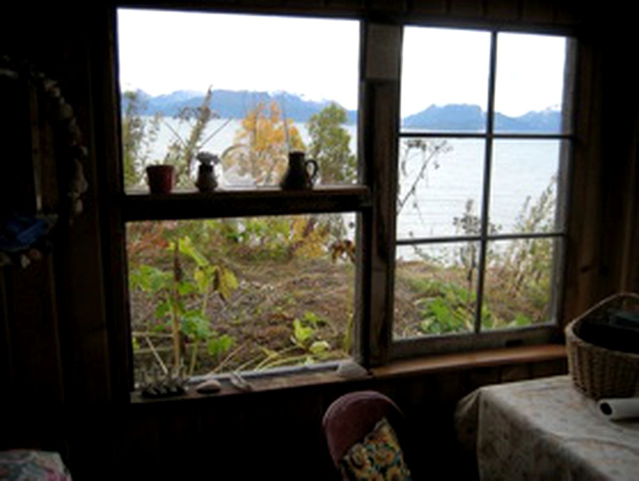Secluded Cabin Rental near Halibut Cove in Homer, Alaska
