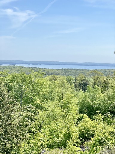 Cottages (United States of America, Sebago, Maine)
