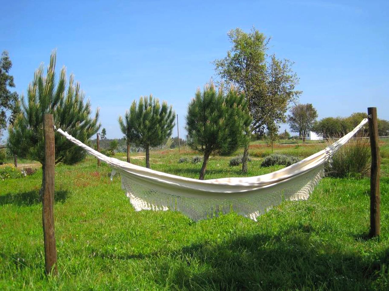 Secluded Bell Tent Rental with a Pool in Zambujeira do Mar, Beja District, Portugal