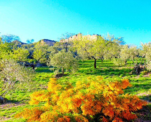 Bell Tents (Ronda, Andalusia, Spain)