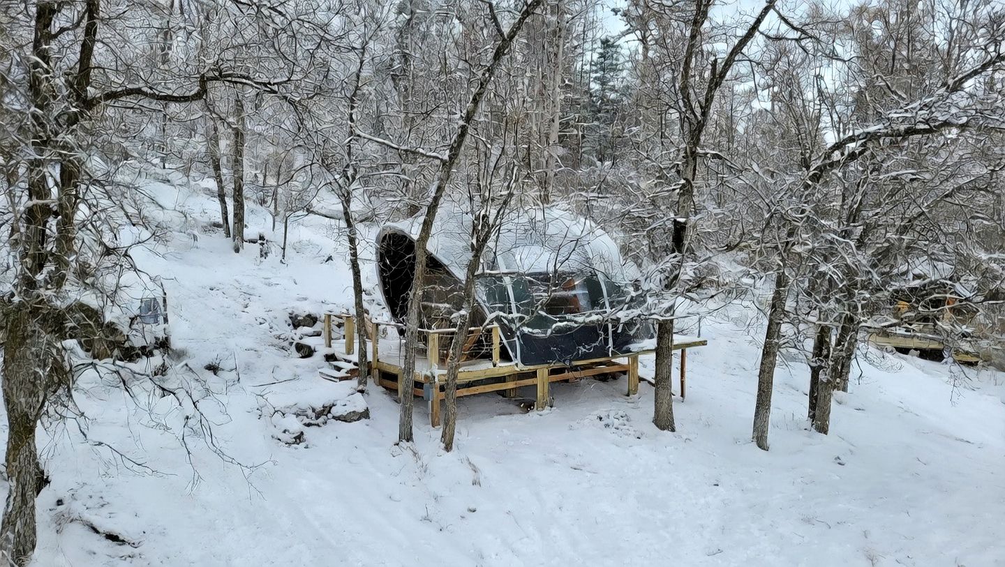 Secluded Boutique Glamping Retreat with Forest Views Near Mount Rushmore, Black Hills SD
