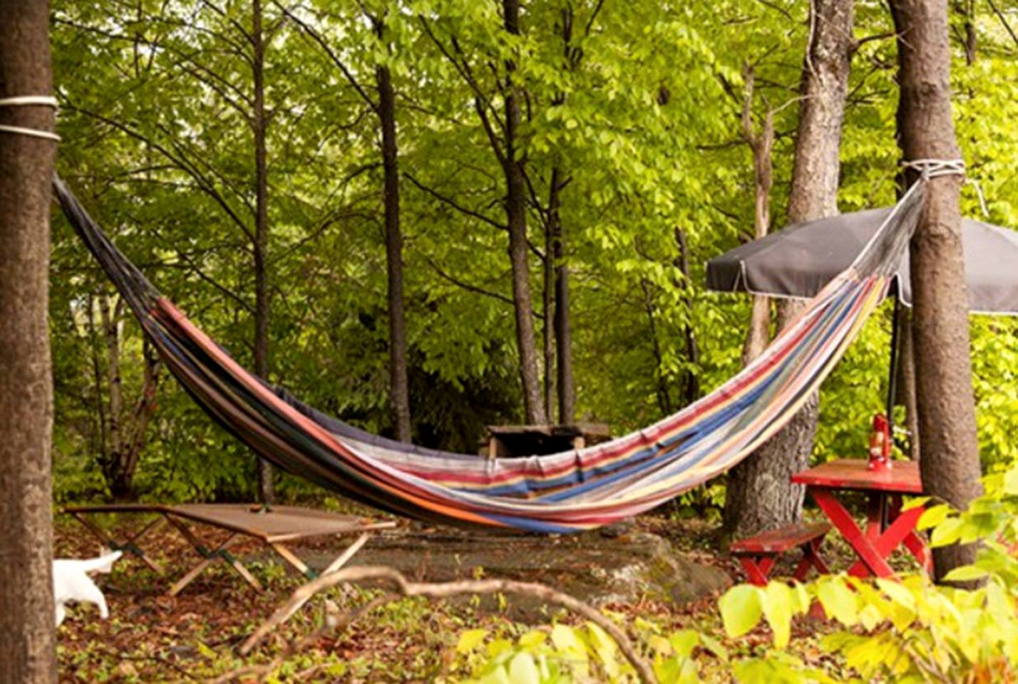 Secluded Cabin and Bell Tent Getaway next to Catskill Park, Upstate New York