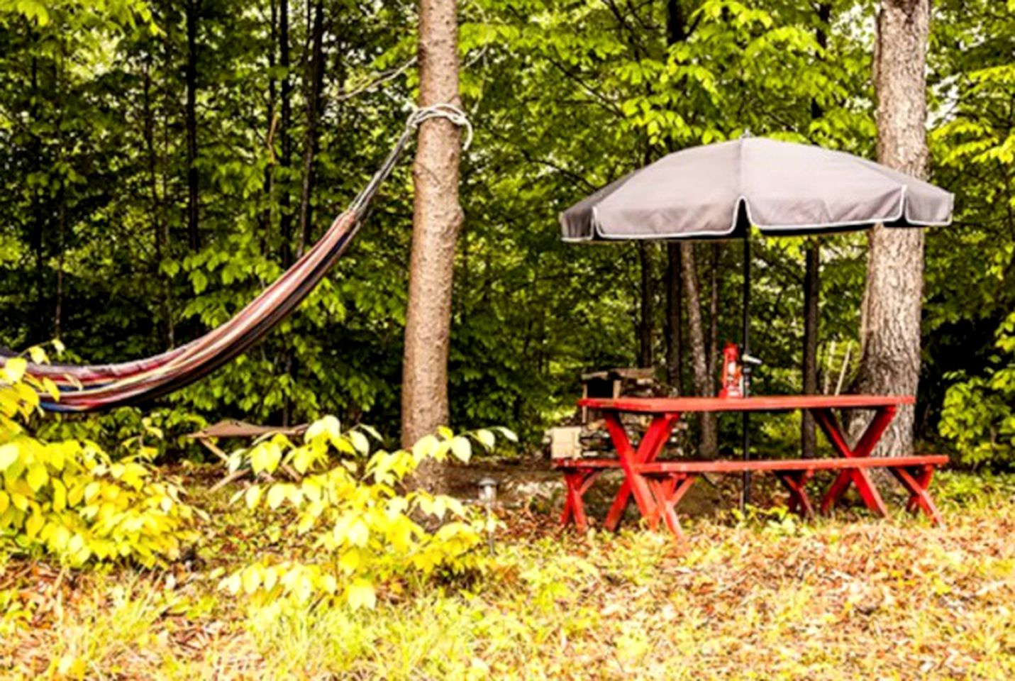 Secluded Cabin and Bell Tent Getaway next to Catskill Park, Upstate New York
