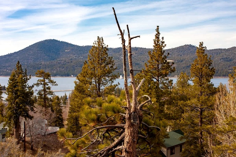 Cabins (United States of America, Big Bear Lake, California)