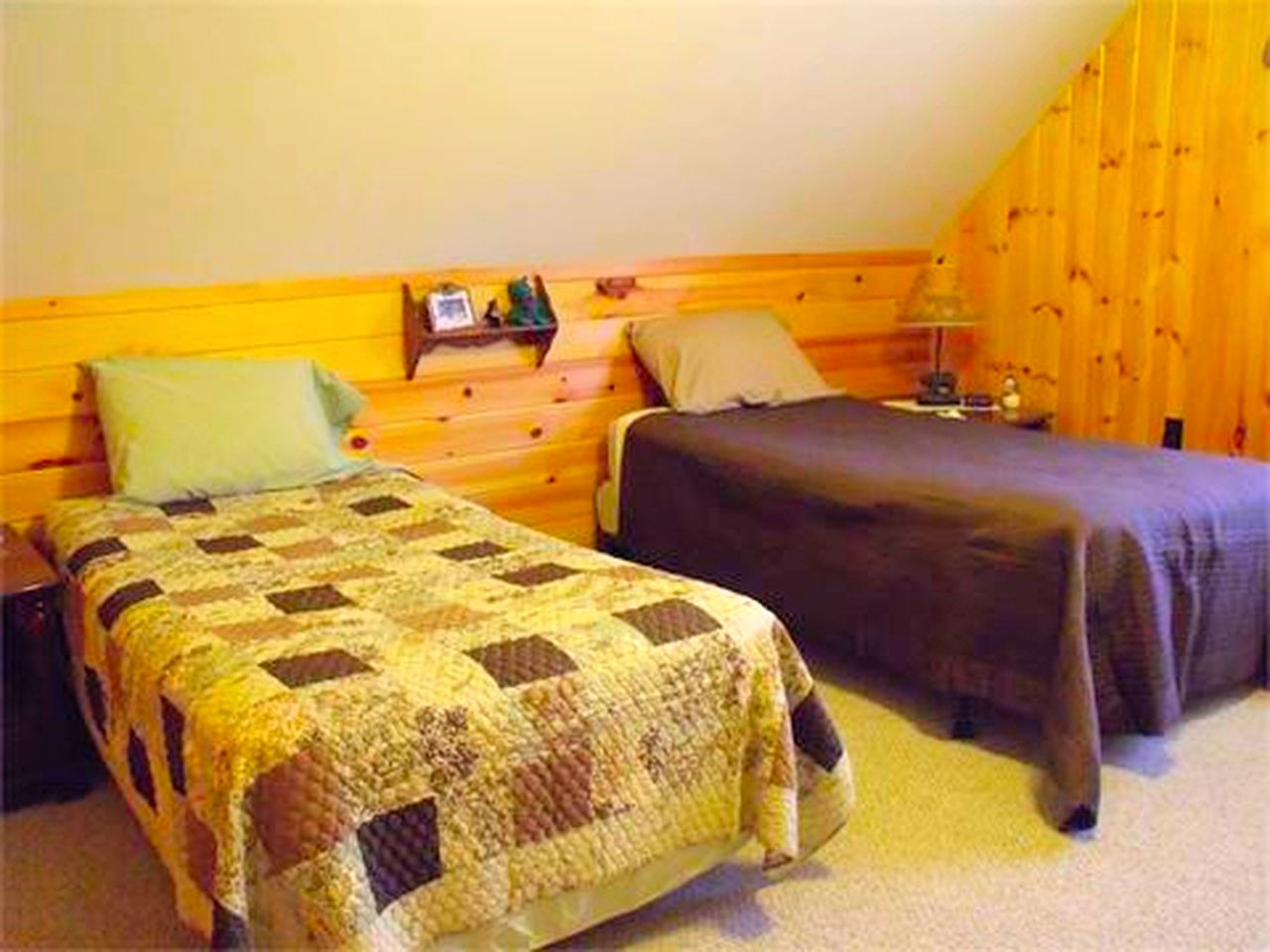 Secluded Cabin Nestled in the Mountains near the Tioga State Forest, Pennsylvania