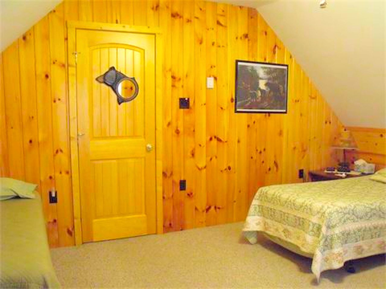 Secluded Cabin Nestled in the Mountains near the Tioga State Forest, Pennsylvania
