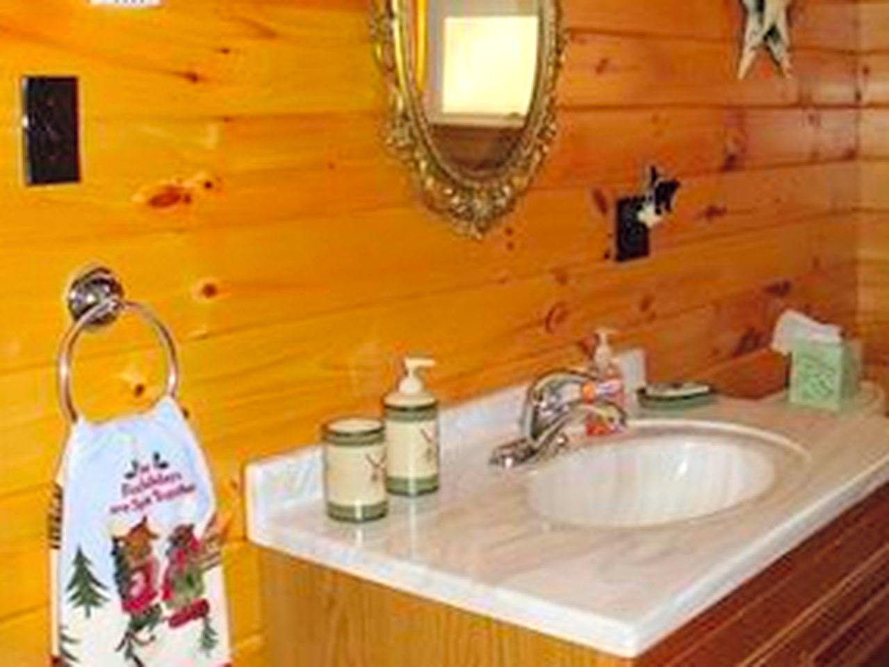 Secluded Cabin Nestled in the Mountains near the Tioga State Forest, Pennsylvania