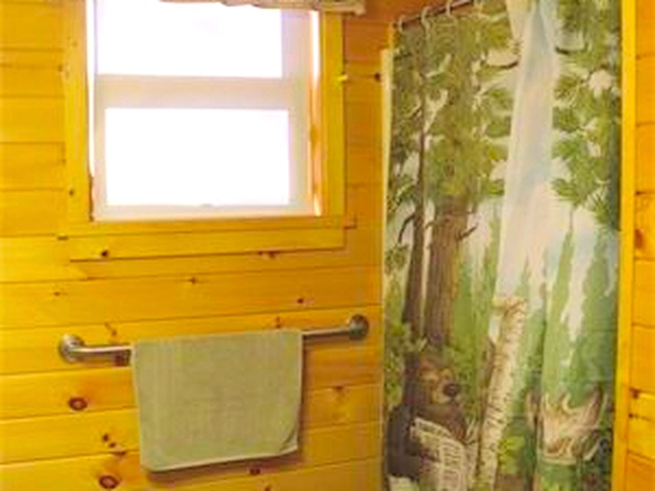 Secluded Cabin Nestled in the Mountains near the Tioga State Forest, Pennsylvania