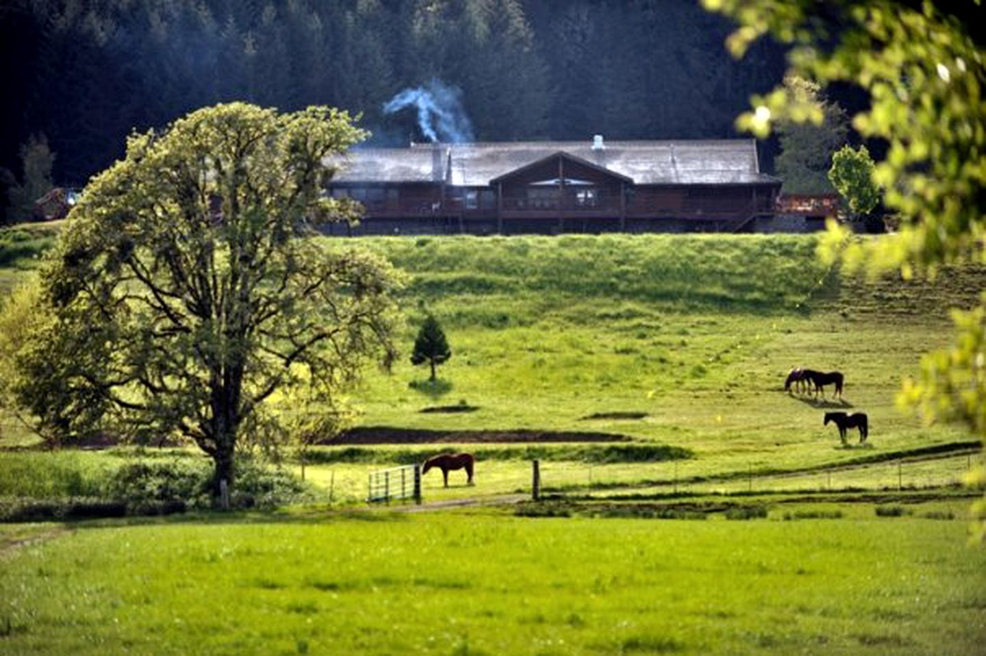 Secluded Cabin Rental on a Ranch in Oregon's Coastal Mountains