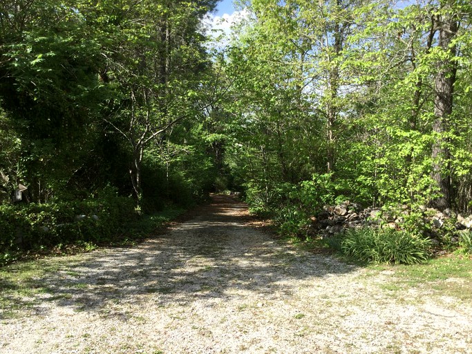 Cabins (St. Joe, Arkansas, United States)