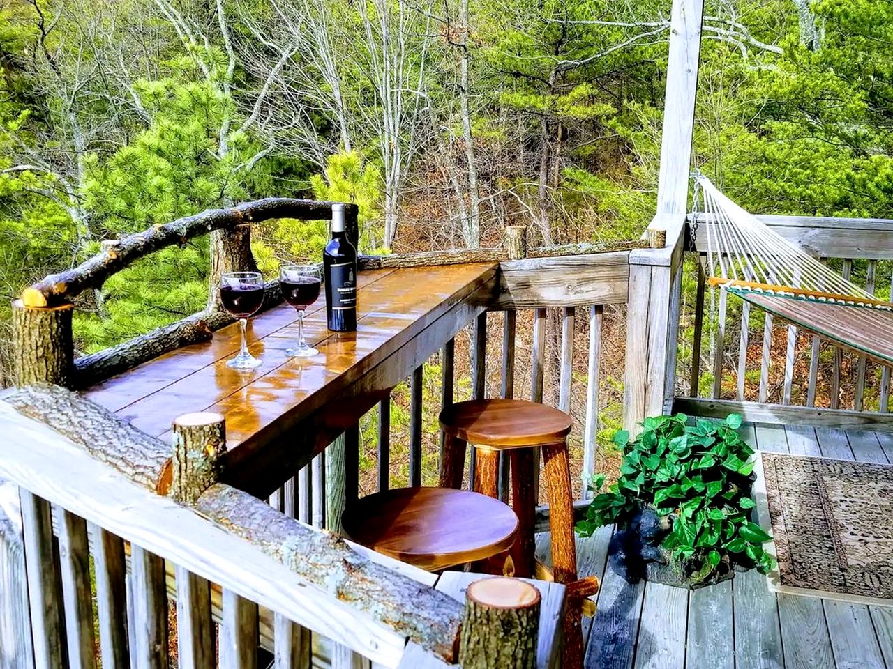 Secluded Cabin with Spectacular Views in Sevierville, Tennessee