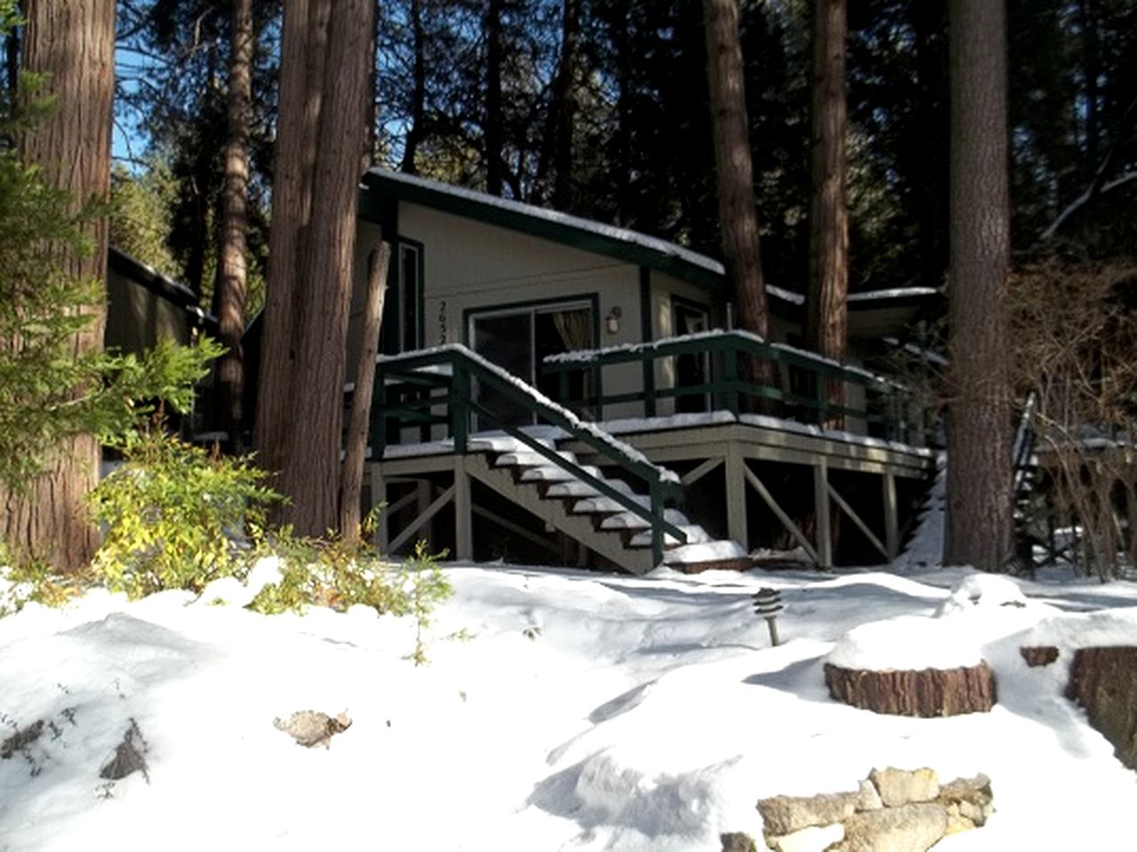 Secluded Cabin Surrounded By Pine Trees in Idyllwild, California
