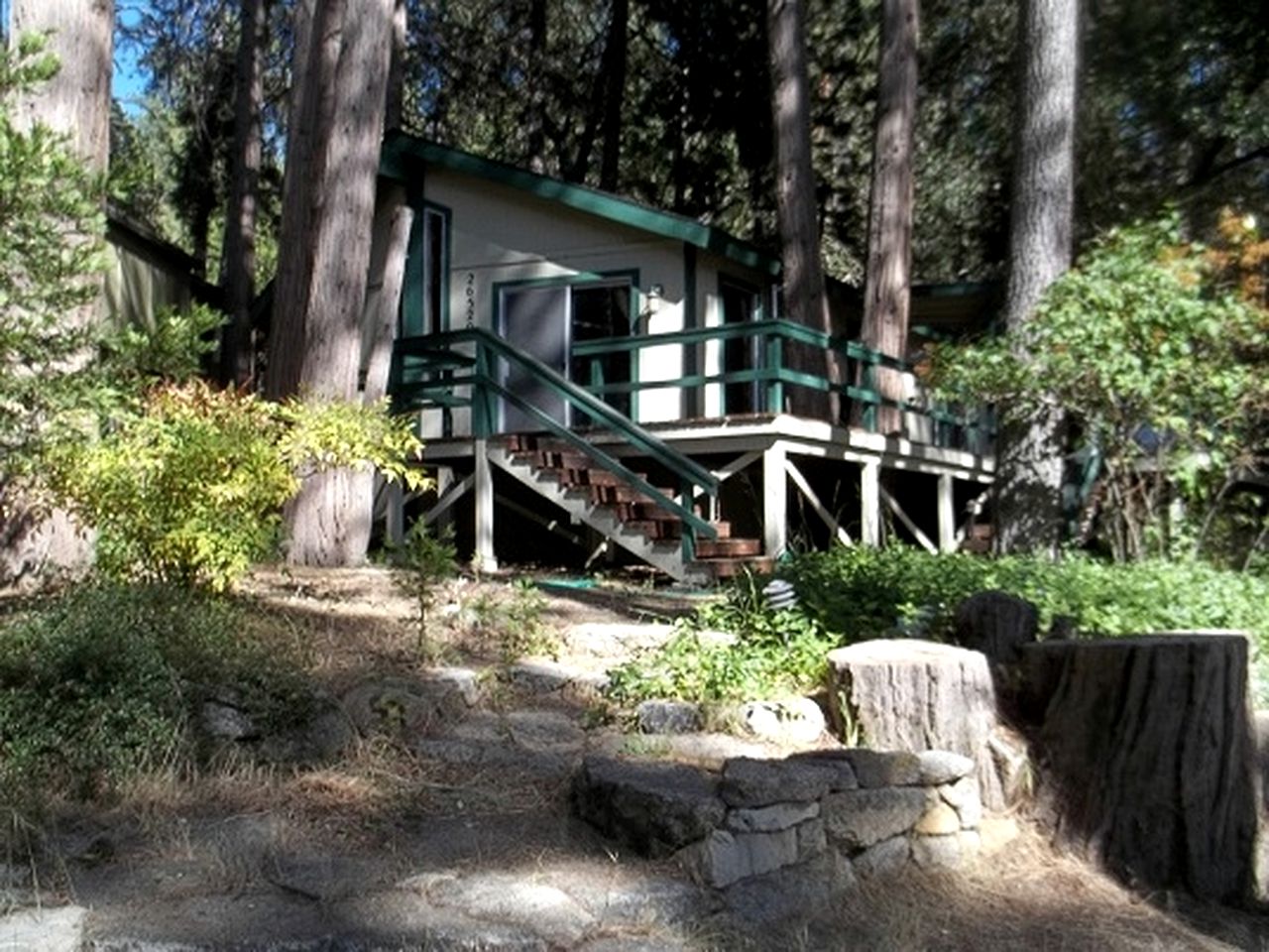 Secluded Cabin Surrounded By Pine Trees in Idyllwild, California