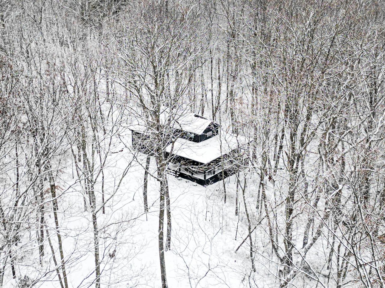 Secluded Cabin in the Woods in Monteagle, Tennessee