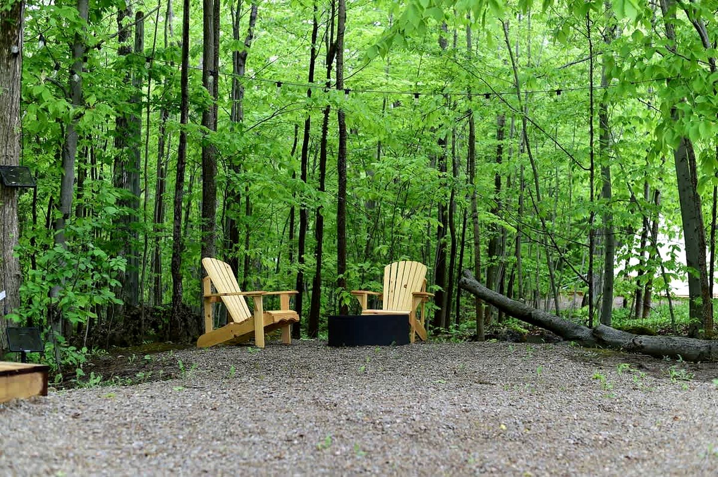 Secluded Chic: Stylish Bell Tent Glamping Escape in Ontario's Natural Splendor