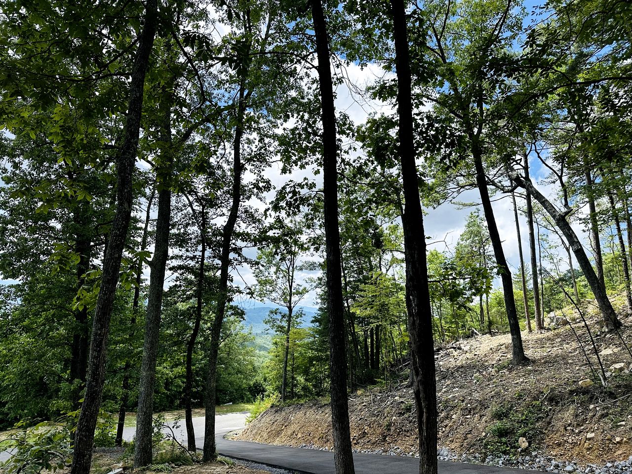 Secluded Cottage Nestle in the Woods in Sevierville, Tennessee