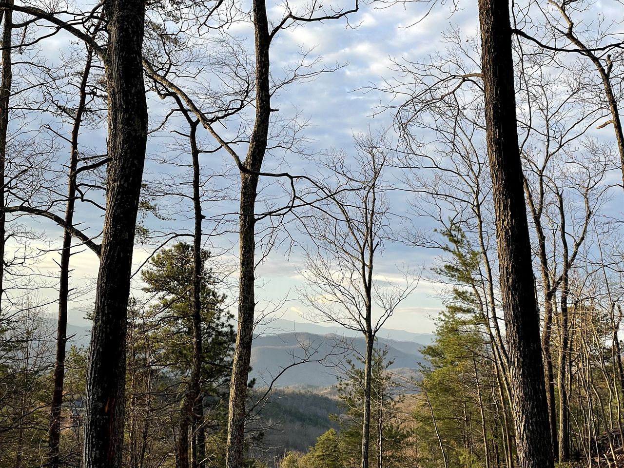Secluded Cottage Nestle in the Woods in Sevierville, Tennessee