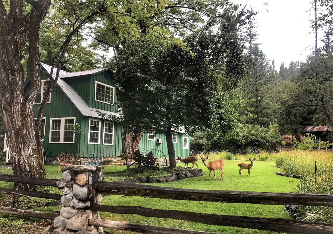 Rental on Trinity River California