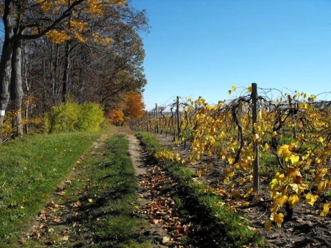 Cottages (United States of America, Himrod, New York)