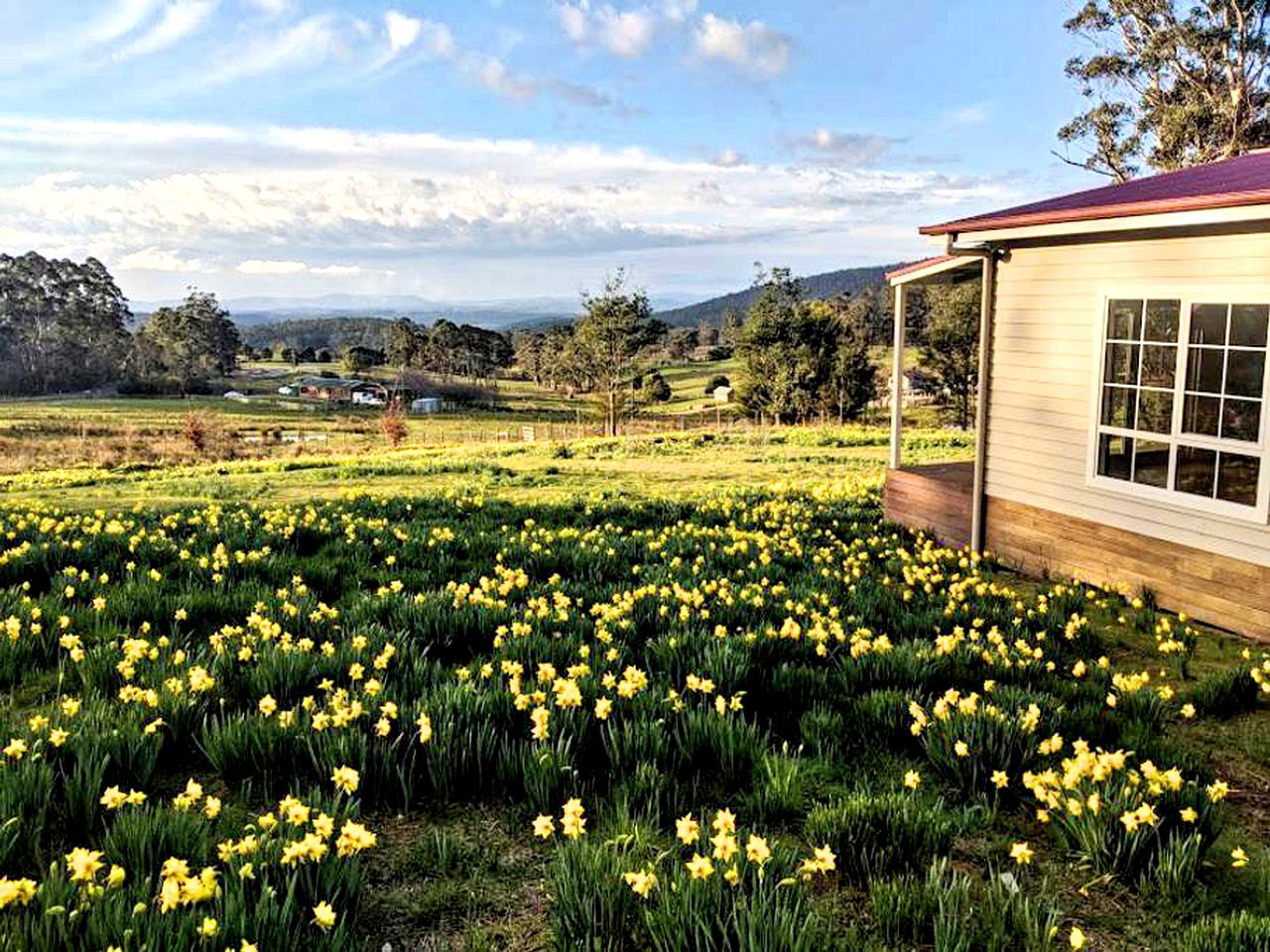 Secluded Cottage Rental Tucked Away in the Countryside near Deloraine, Tasmania
