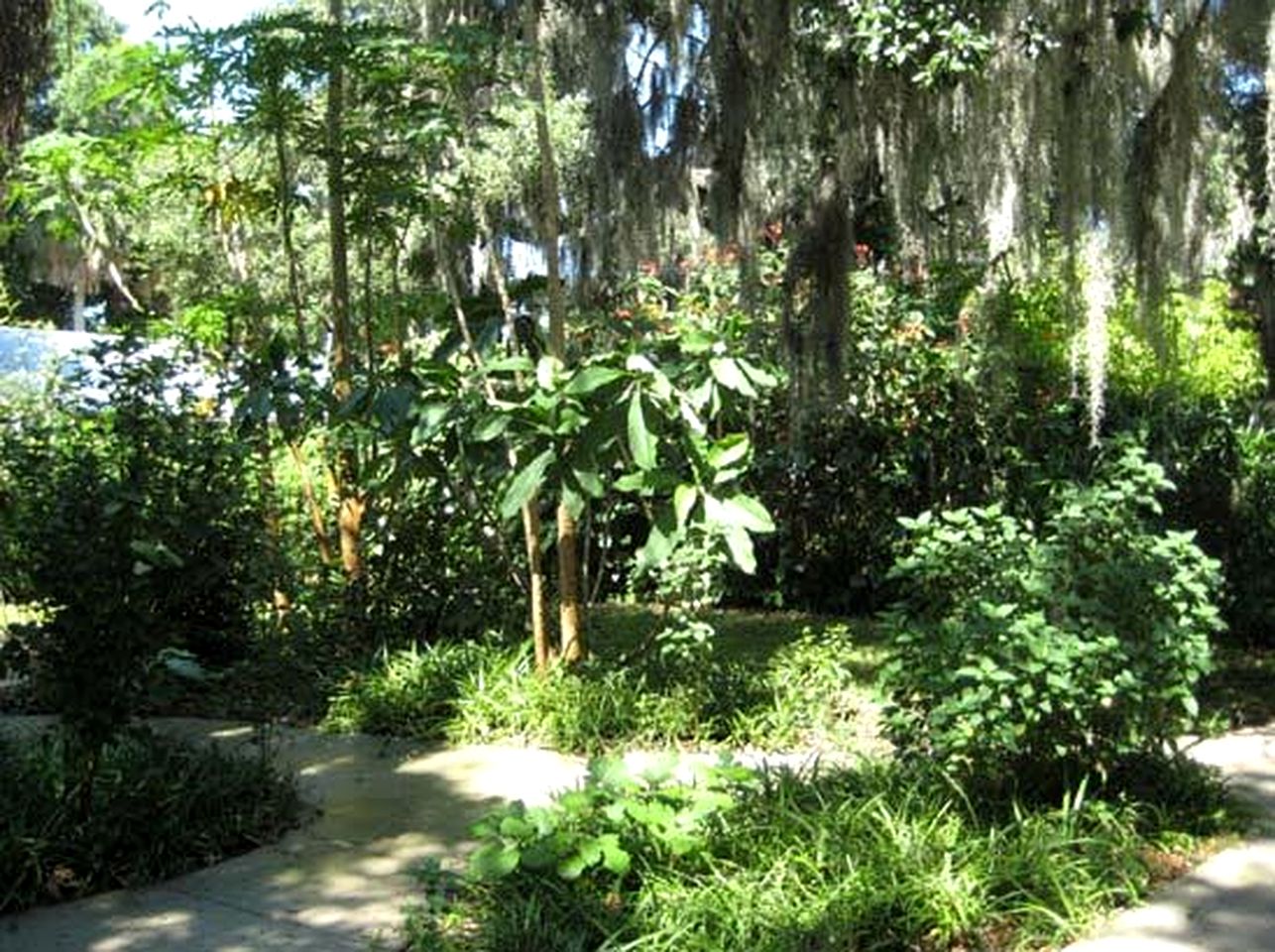 Secluded Cottage Rental with Private Dock on Idyllic Lake Josephine, Florida