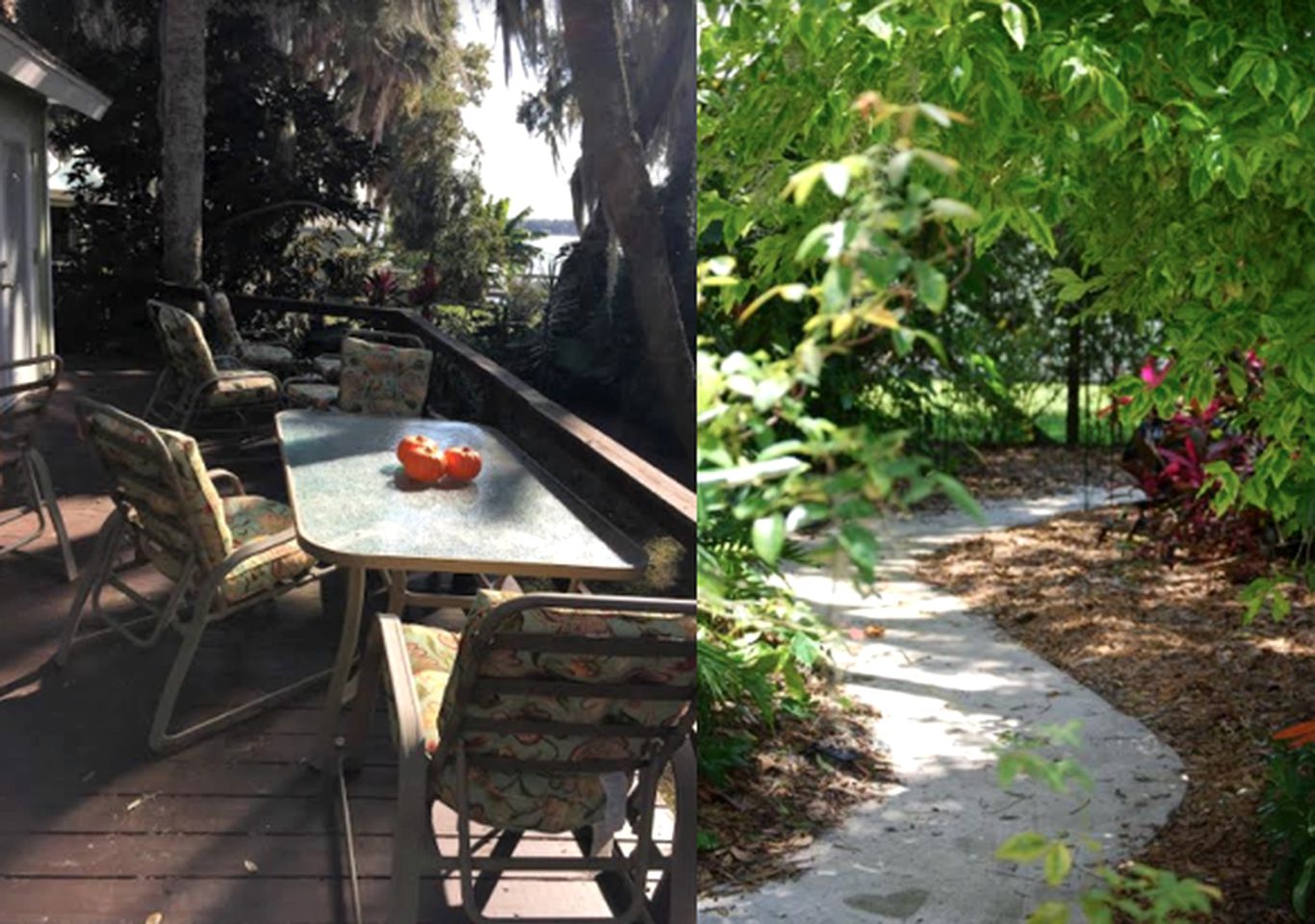 Secluded Cottage Rental with Private Dock on Idyllic Lake Josephine, Florida