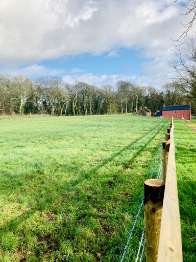 Cottages (United Kingdom, Milford Haven, Wales)