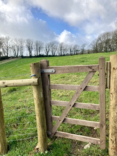 Cottages (United Kingdom, Milford Haven, Wales)