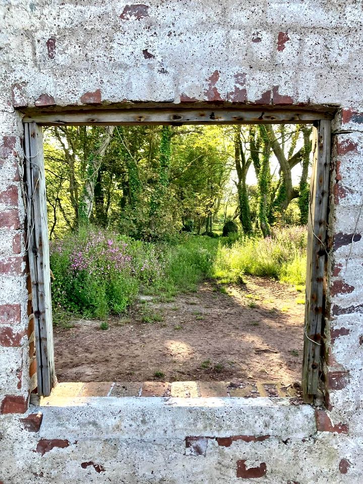 Off-Grid Cottage with Hot-tub in Milford Haven, Wales