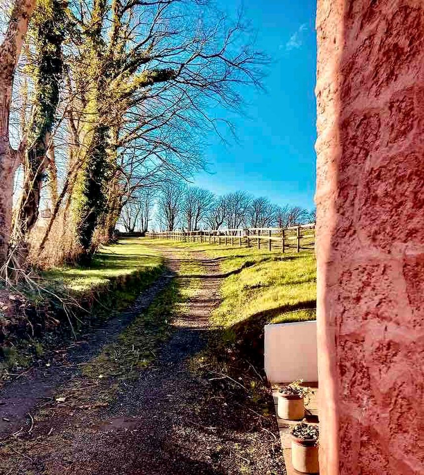 Off-Grid Cottage with Hot-tub in Milford Haven, Wales