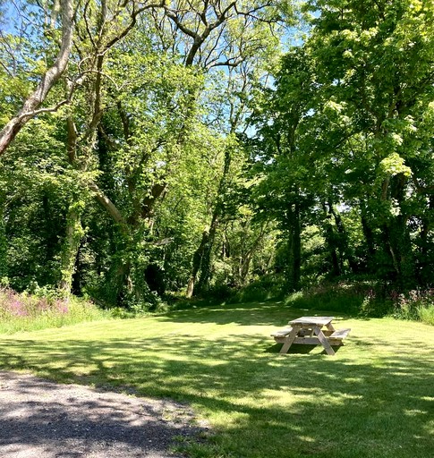 Cottages (United Kingdom, Milford Haven, Wales)