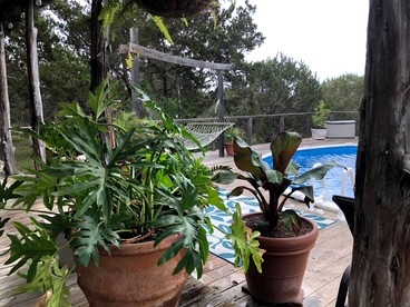 undefined photo 3