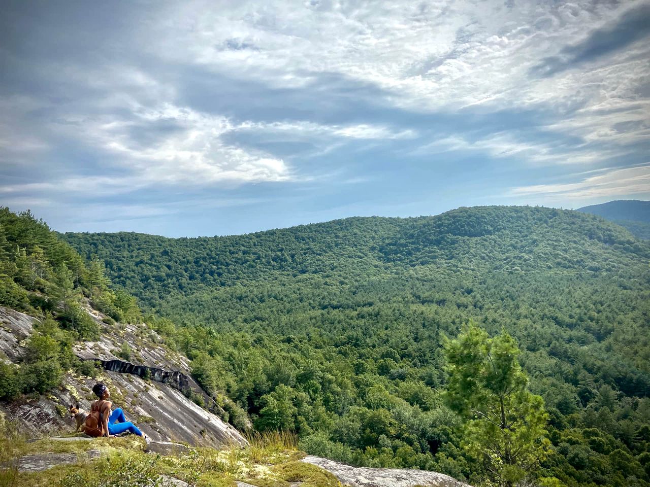 Secluded Delight: Unplug and Reconnect in a Special House in Lake Toxaway's Woods