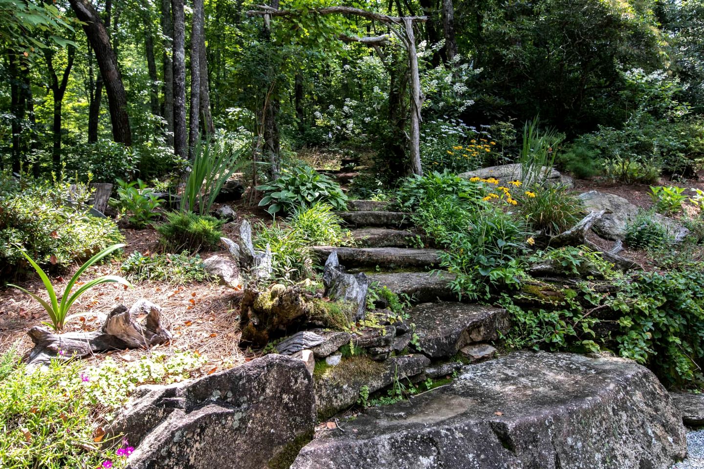 Secluded Delight: Unplug and Reconnect in a Special House in Lake Toxaway's Woods