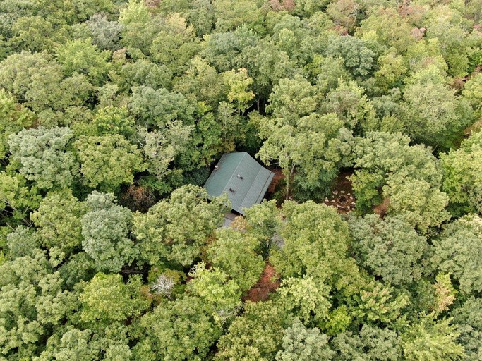 Tree Houses (United States of America, Lake Toxaway, North Carolina)