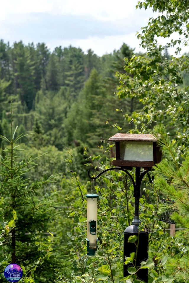 Secluded Dog-Friendly Cabin with Incredible Outdoor Living Area in Saint Come, Quebec