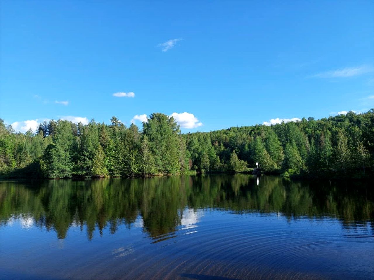 Secluded Dog-Friendly Cabin with Incredible Outdoor Living Area in Saint Come, Quebec
