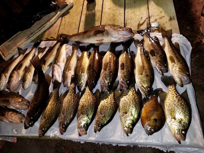 Cabins (Linden, Texas, United States)