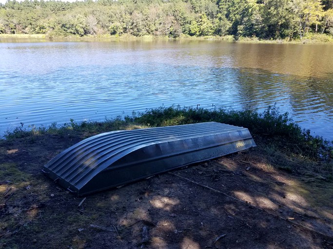 Cabins (Linden, Texas, United States)