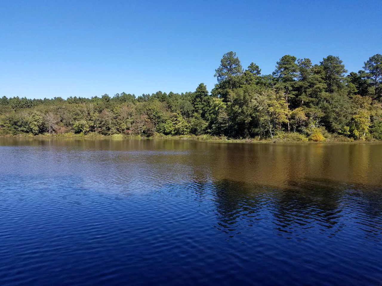 Peaceful Lakeside Weekend Getaway for Four in East Texas