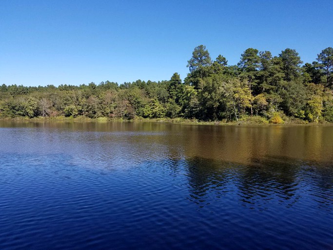 Cabins (Linden, Texas, United States)