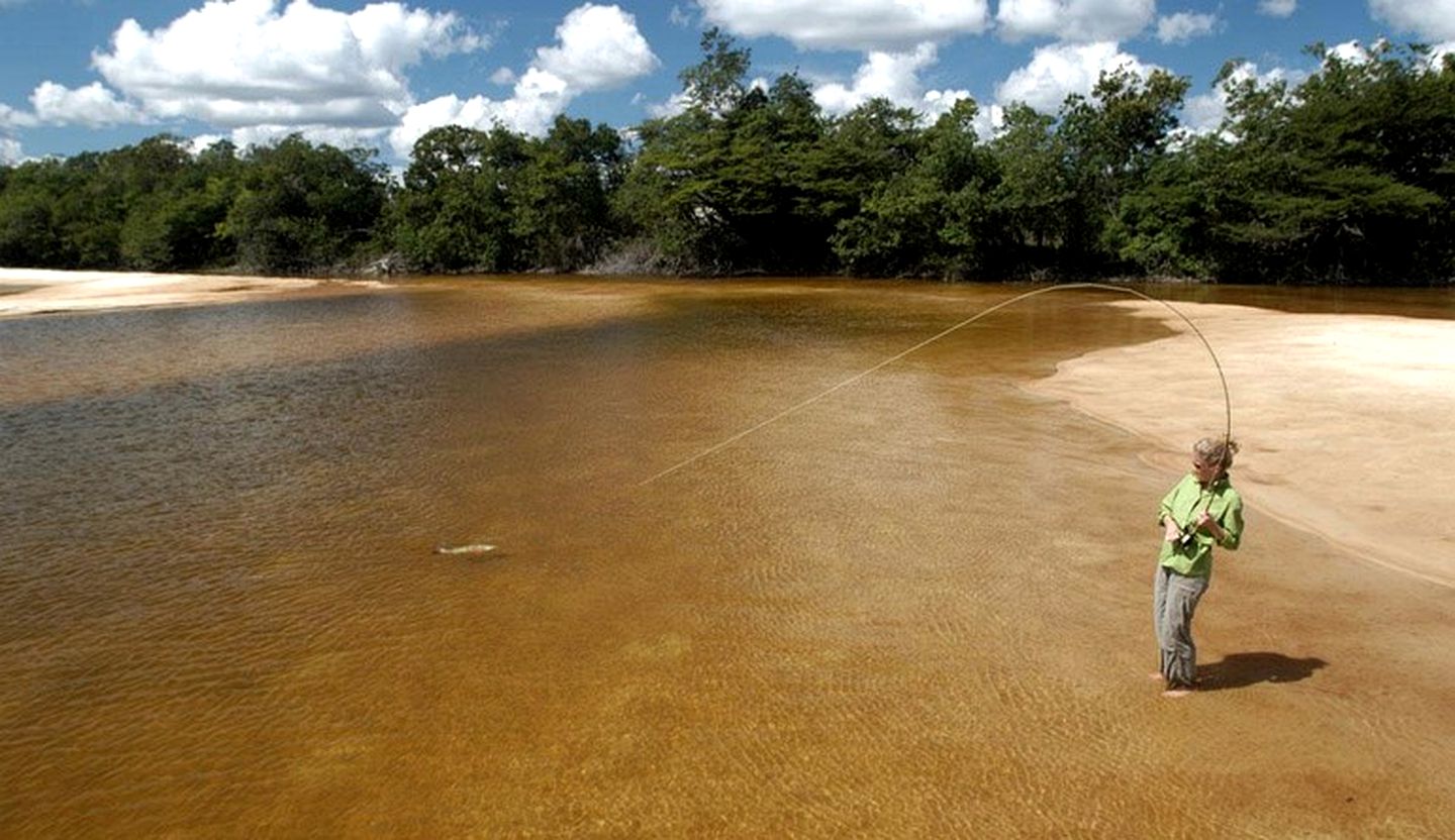 Secluded Eco-Friendly Bungalows along the Amazonian Agua Boa River in Brazil