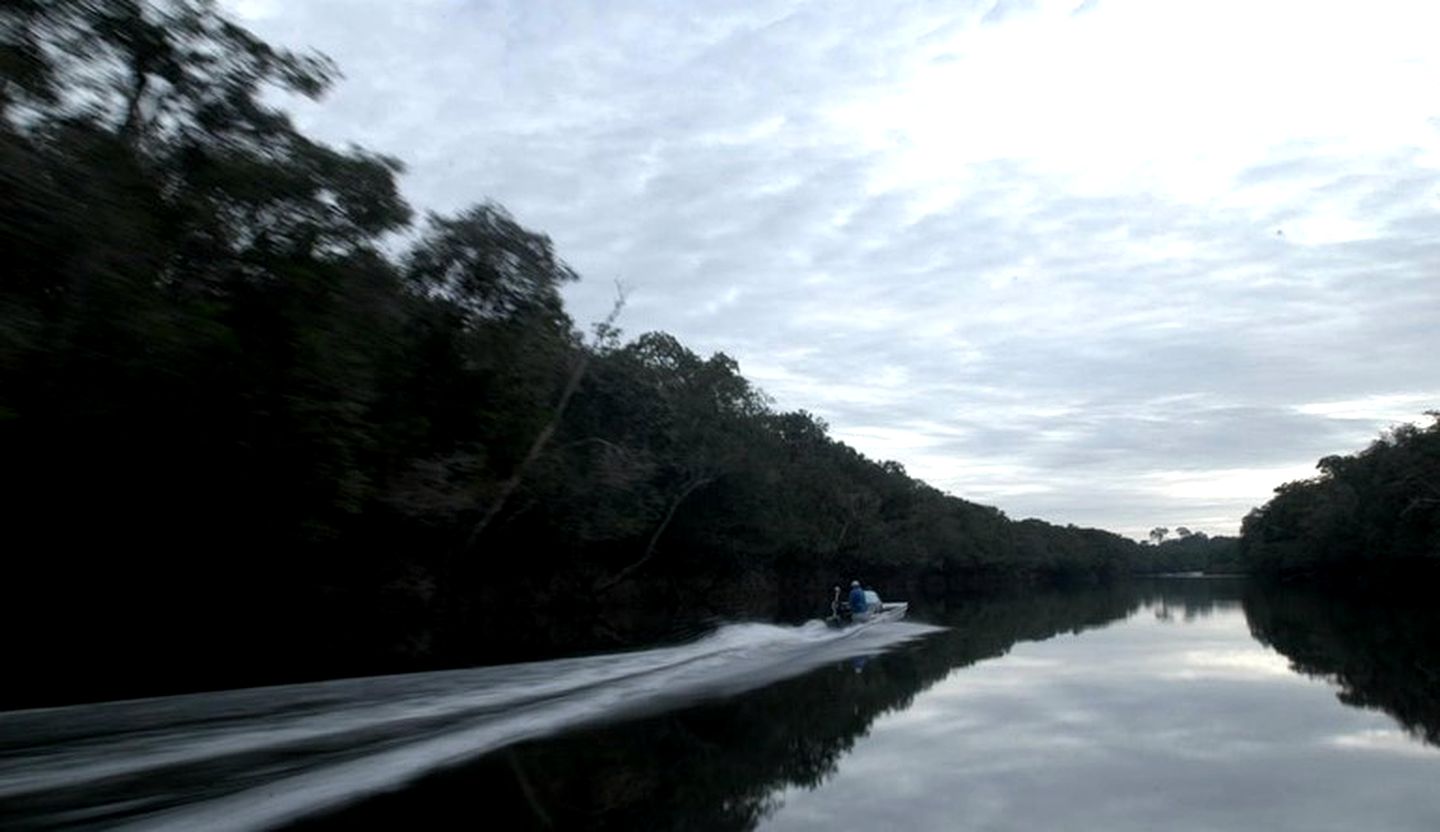 Secluded Eco-Friendly Bungalows along the Amazonian Agua Boa River in Brazil