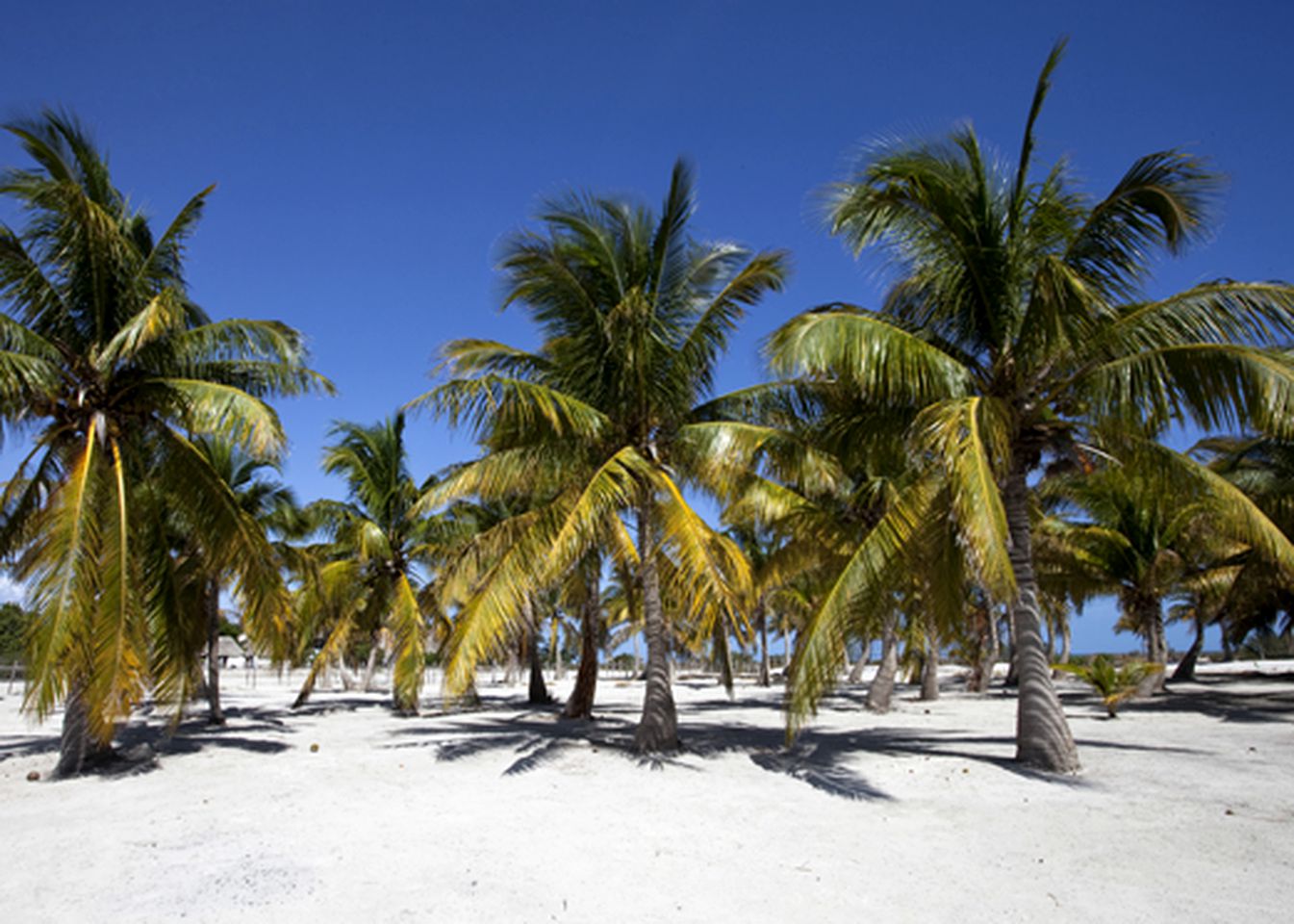 Secluded Ecotourist Resort on White Sandy Beaches, Mexico