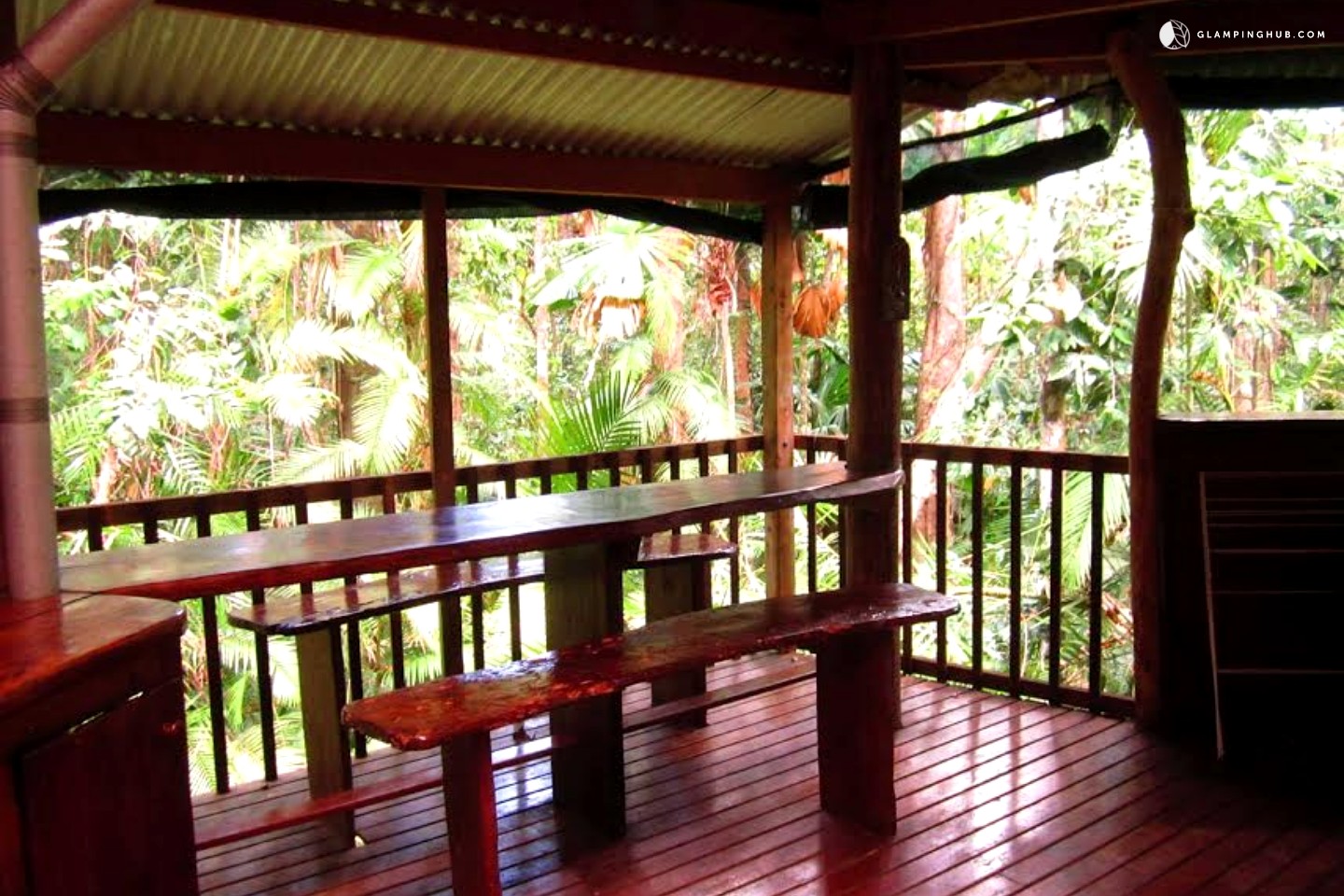 Camping in Daintree National Park