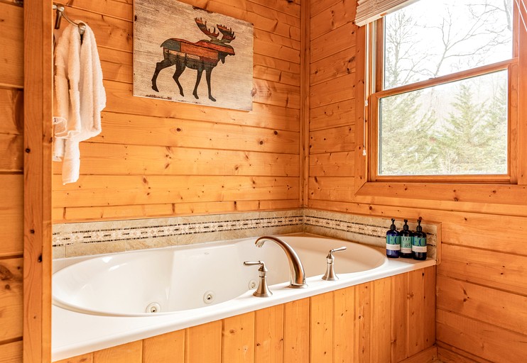Cabins (United States of America, Topton, North Carolina)