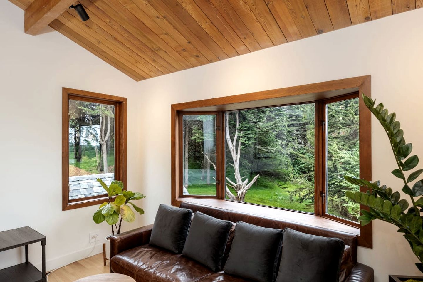 Incredible Secluded Forest Retreat with Basketball Court near Golden Gate National Park, California