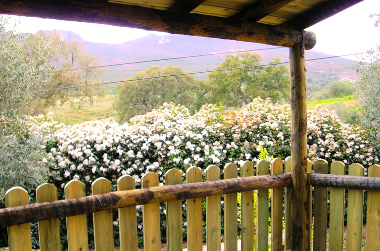 Cottages (El Jiniebro, Extremadura, Spain)