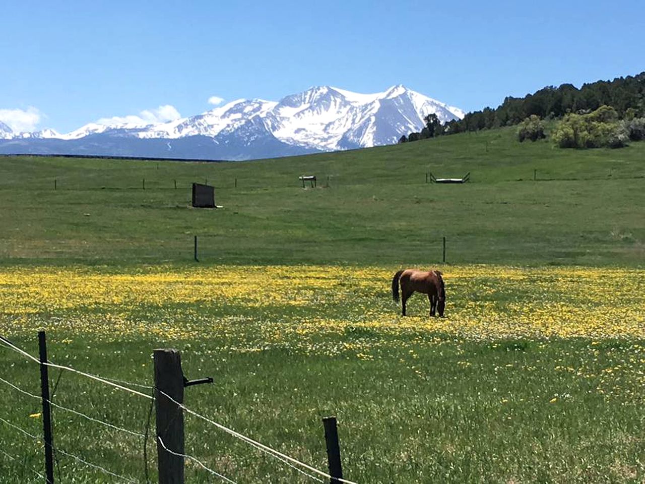 Secluded Glamping Cabin Rental on a Working Ranch and Farm near Aspen and Maroon Bells, Colorado