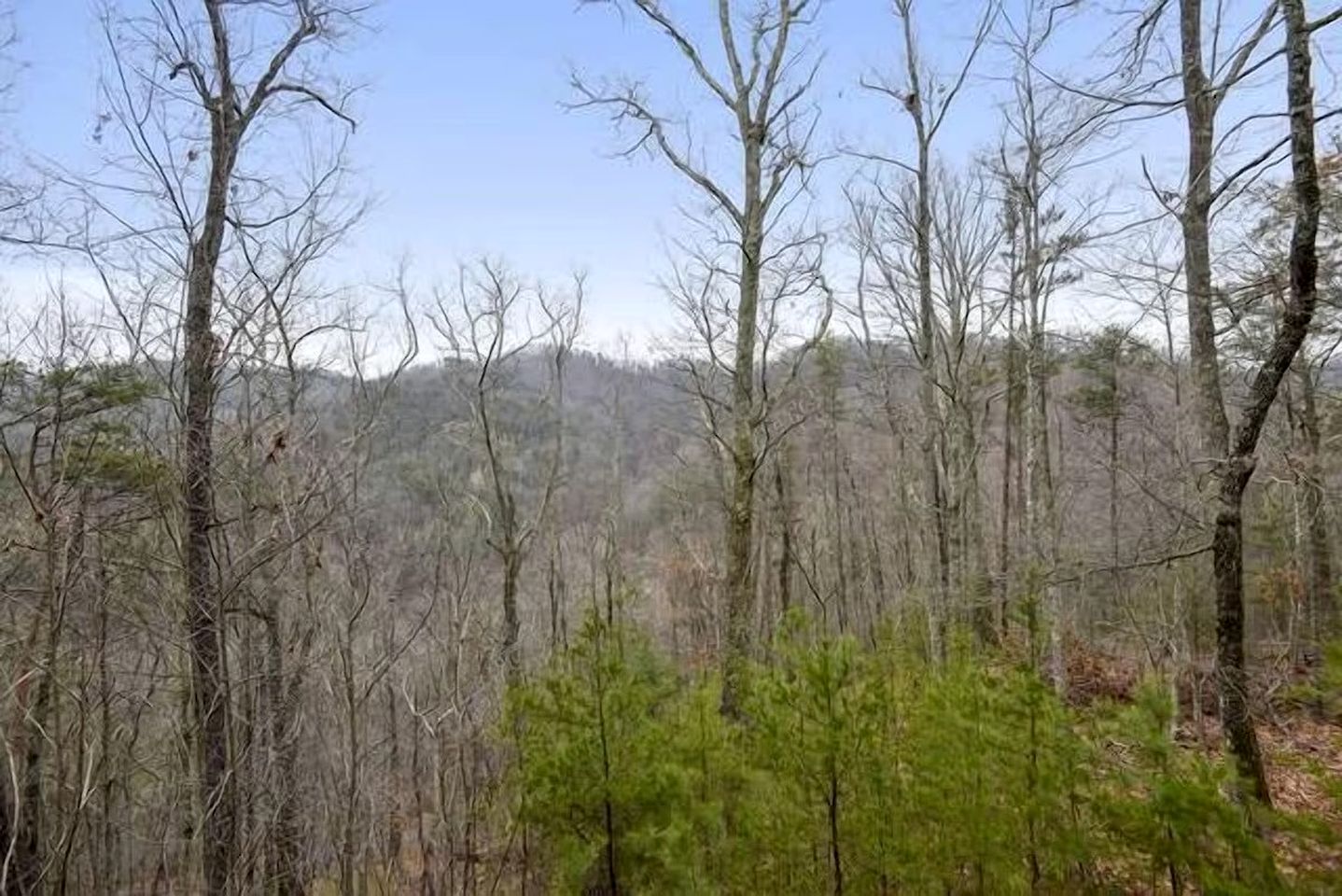 Secluded Rustic Cabin with Jacuzzi in Sevierville, Tennessee